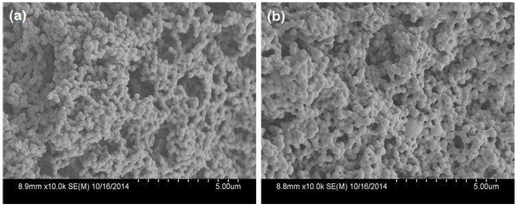 SEM images of poly-GMA(a) and glucamine-functionalized poly-GMA(b)