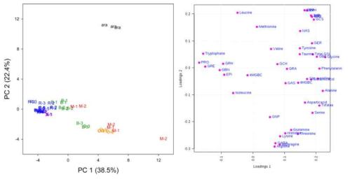 PCA score and loading plot of glucosinolate and amino acid compositions in Brassica species seeds