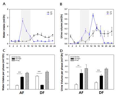 DD cycle에서 자유 섭식 및 제한된 섭식에 따른 수분 섭취와 배뇨량의 일주기적 변화