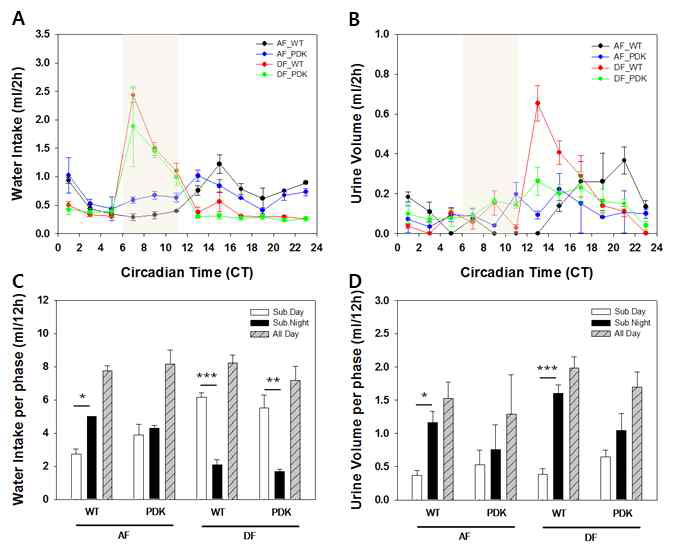 DD cycle에서 제한된 섭식에 따른 수분 섭취와 배뇨량의 일주기적 변화에 생체시계의 작동 유무가 미치는 효과