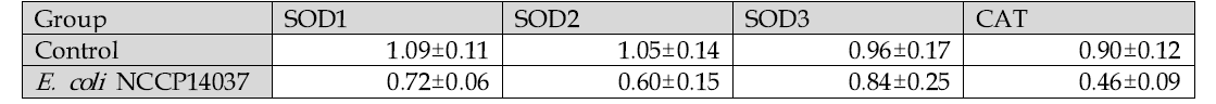 대장에서의 항산화 지표 mRNA 발현량 Mean±S.E