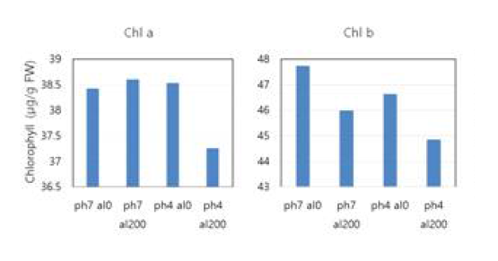 Effect of aluminum on chlorophyll accumulation in alfalfa leaves