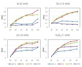 Functional analysis of alfalfa glutamine synthetase, isoflavone reductase and glutathione peroxidase gene in E. coli