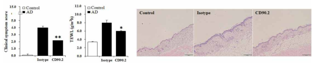 Anti-CD90.2를 이용한 ILC2 제거 시, 급성 아토피피부염 개선 효능 확인