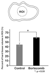 Micro-CT examinations after 5 and 42 days from cavity preparation. Schematic diagram of occlusal view of the ROI. The percentage of hard tissue volume regenerated within ROI