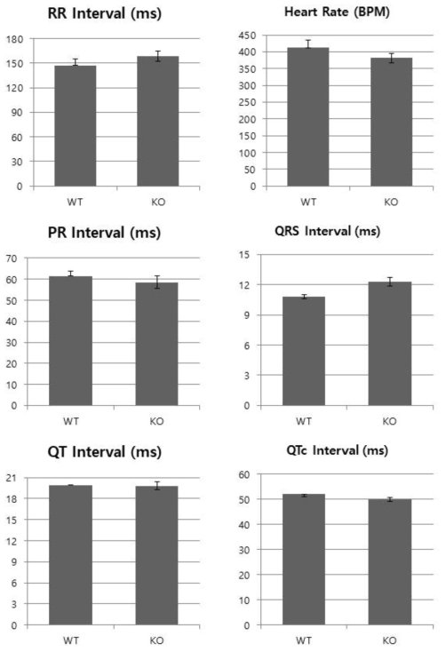 WT와 KO 마우스의 심전도 측정결과 비교의 예. #1 암컷 마우스 wild type 4마리와 knockout type 6마리의 심전도 측정 결과. PR 간격이 감소하는 경향성을 확인하였음. 추가적으로 RR 간격과 QRS 간격은 증가하는 경향을 보였고, heart rate과 QT 간격은 줄어드는 경향을 보였음