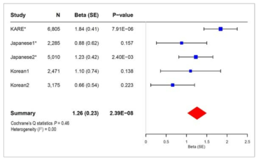 rs17744182의 각 코호트 별 연관성 분석, 메타 분석 결과 및 forest plot