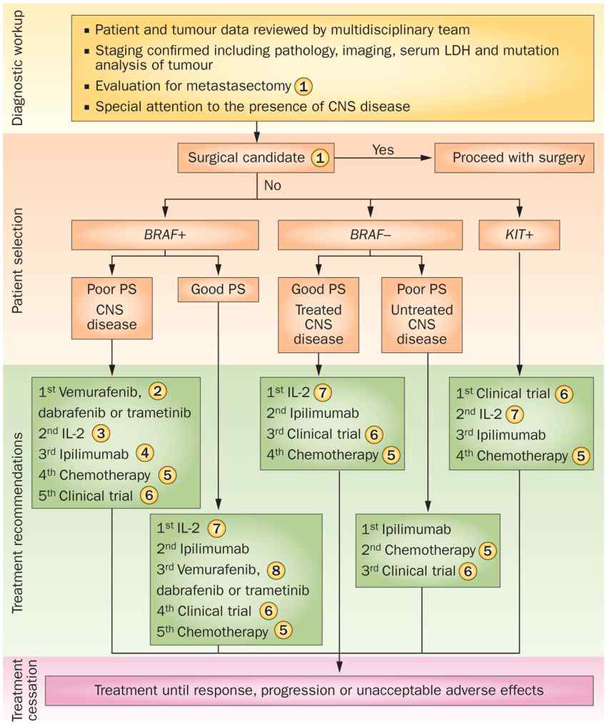 Advanced Stage IV melanoma에 대한 치료전략