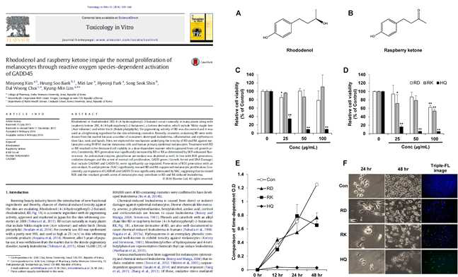 로도데놀과 라스베리키톤의 멜라닌세포독성 연구 (Tox in vitro 2016, 사사완료)