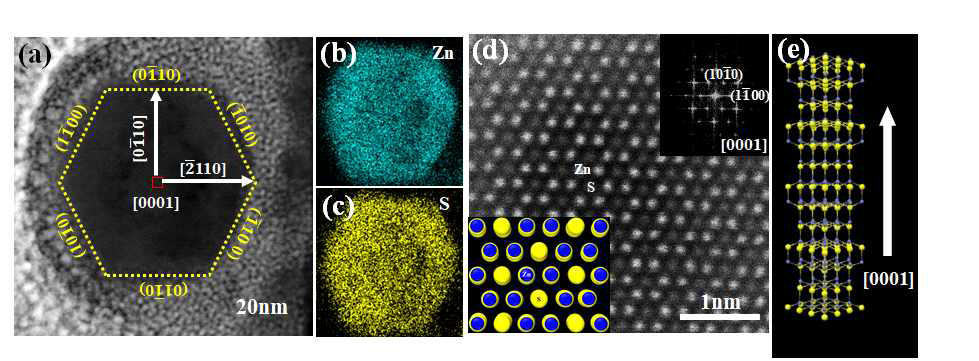 아연황화합물 나노선 단면 투과전자현미경 분석 명시야상, 화학성분, 성장 모델
