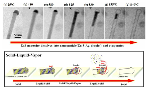 아연황화합물 나노선 실시간 열적 투과전자현미경 분석 및 메커니즘