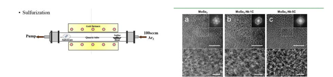 천이금속 칼코지나이드 합성 가열로 및 Nb 도핑된 MoSe2 박막 특성 분석
