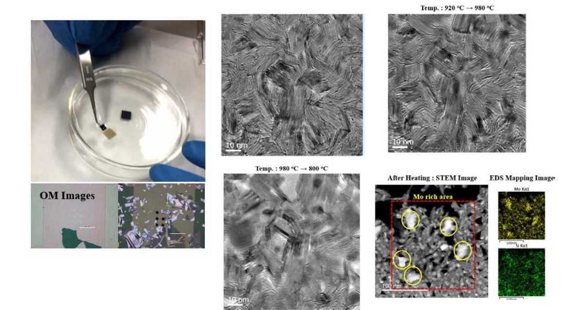 수직적 몰리브덴황화물 실시간 열적 투과전자현미경 MEMS 칩 및 이미지