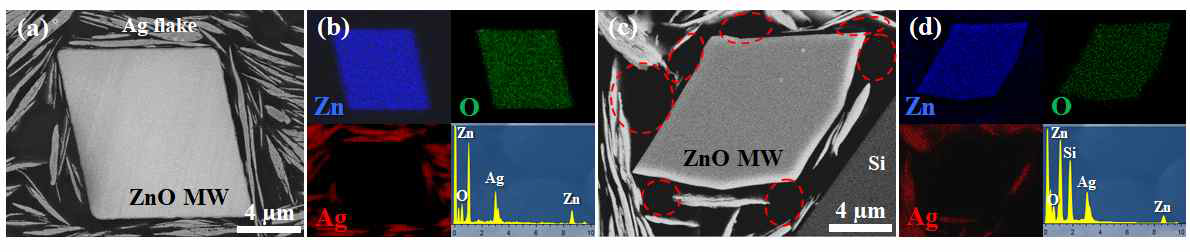 은 전극 아연산화 마이크로 소재 계면 주사전자현미경 이미지 (a, b) A타입 (c, d) B타입