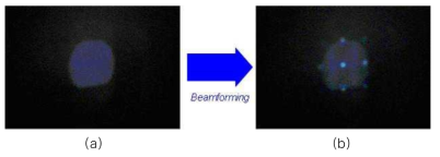 백색 LED를 이용한 광 빔포밍 결과 (a) Fresnel 렌즈 함수 적용 전 (b) Fresnel 렌즈 함수 적용 후