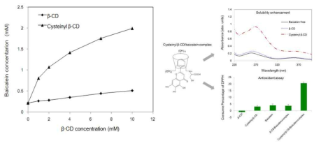 탄수화물 포집복합체의 수용해도 그래프(왼쪽) 과 Cysteinyl β-CD/baicalein complex 의 항산화 효과 (오른쪽)