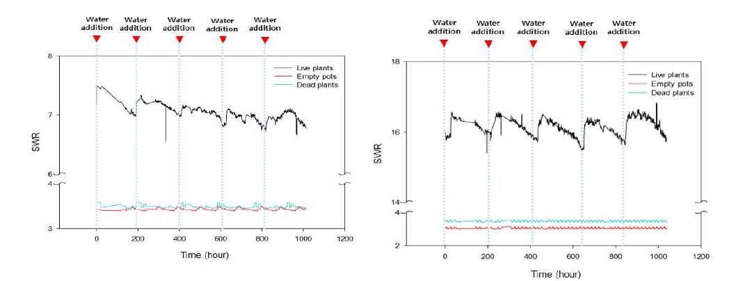 빈 화분과 죽은 식물에서의 SWR 변화 그래프 ((좌): 1.146121 – 1.170121GHz, (우): 1.287118 - 1.323117GHz)