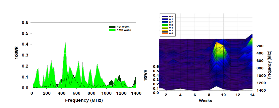 직접 측정 시 급수 전/후에 따른 벵갈 고무나무의 1/SWR 변화 차이 결과 ((좌): 1주와 14주 결과, (우): 1주부터 14주 결과)
