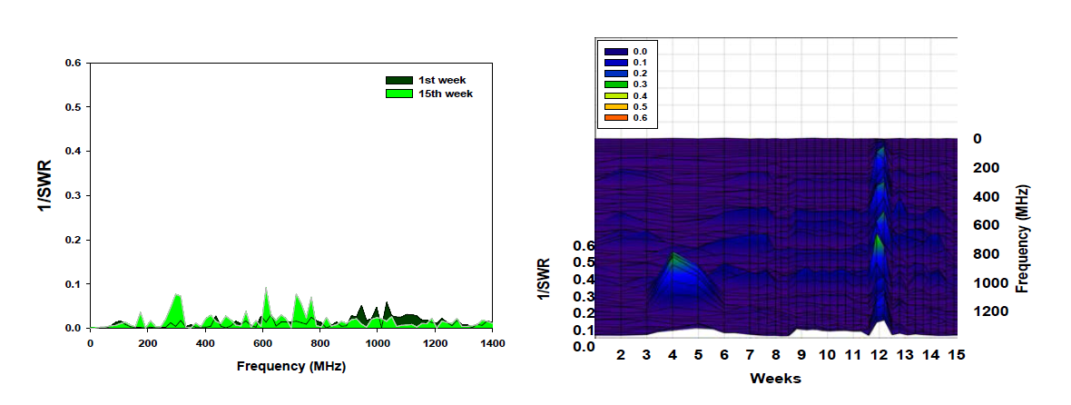 7℃에서 직접 측정 시 급수 전/후에 따른 벵갈 고무나무의 1/SWR 변화 차이 결과 ((좌): 1주와 15주 결과, (우): 1주부터 15주 결과)