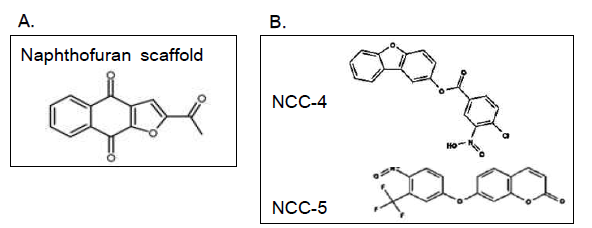Naphthofuran scaffold와 in silico 검색을 통해 검색한 화합물. A. Le Guevel et al. (2009) 논문에서 제안한 HNF4α와 결합하는 화합물의 naphthofuran 구조. B. Pubchem 데이터베이스에 있는 화합물들을 본 연구의 전략대로 검색한 후 선별한 2개의 화합물, NCC-4와 NCC-5