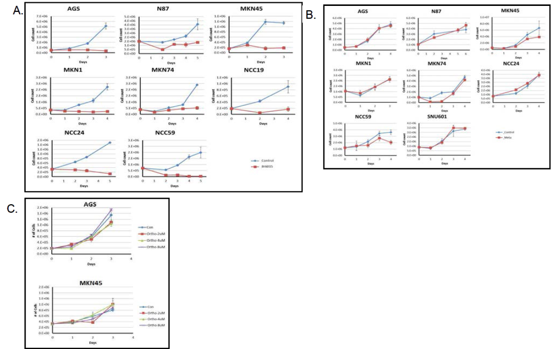 BI6015 –para, -meta, -ortho중 –para가 세포 증식 억제 효과가 가장 큼. A. -para (BI6015)를 위암 세포에 처리하였을 때의 세포 proliferation. B. -meta, C.는 –ortho를 처리한 후 proliferation pattern