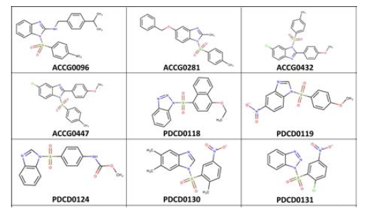 CrystalGenomics사에서 제공한 대표화합물 구조의 예