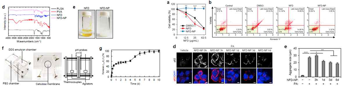 니페디핀의 나노입자 탑재를 성공하였으며, 세포내 독성이 없고, 포화지방산에 의해 증가된 p62 단백질 inclusion을 억제하는 것을 규명함