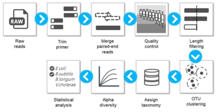 Workflow for metagenome analysis