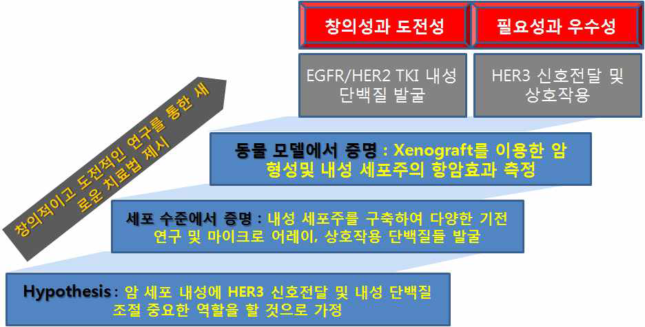 EGFR/HER2 TKI 내성 암세포 기전 연구를 위한 연구 진행 개념도