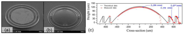 열 재흐름 공정 전의 유리 원기둥(a)과 공정 후의 제작된 렌즈(b). 제작된 렌즈의 표면 프로파일 측정 결과(c). 유리 원기둥의 크기로 예측한 렌즈의 형태(검정색 실선)와 실제 측정된 값(붉은색 원)