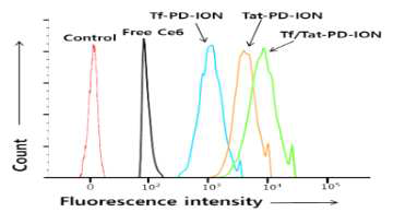 Tf-PD-ION(equivalent Ce6 10 μg/mL), Tat-PD-ION(equivalent Ce6 10 μg/mL), Tf/Tat-PD-ION(equivalent Ce6 10 μg/mL)를 처리(배양 시간: 4시간)한 U87-MG 종양세포 분석 데이터