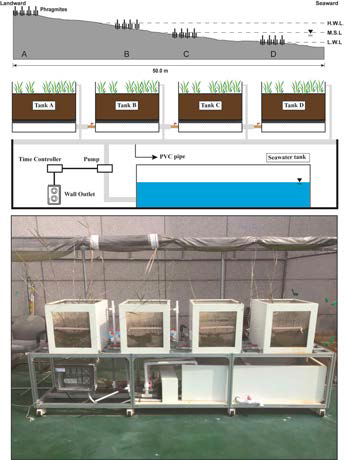 Installed picture of mesocosm equipment
