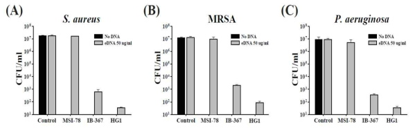 Effect of eDNA on antibacterial activity of AMPs (MSI-78, IB-367, HG1) in S. aureus, MRSA and P. aeruginosa. Killing of planktonic cells by the AMPs (8 μg/ml) with eDNA. The means and standard deviations of triplicated determinations are presented