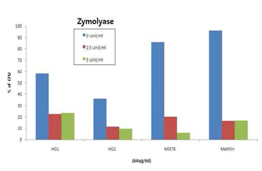 C.albican에 zymolyase를 선 처리 후 항균펩타이의 활성확인