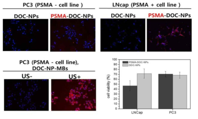 PSMA 양상/음성 세포주에 대한 표적능 분석 및 항암효과 비교 평가