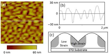 BiMnO3 박막의 (a) 표면형상, (b) 단면, (c) strain 예상 분포