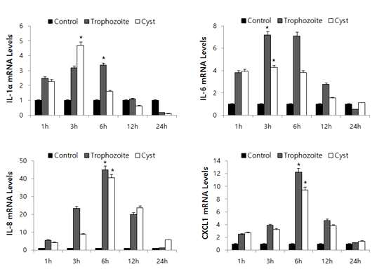 Induction of IL-1α, IL-6, IL-8 and CXCL1 expression in HCECs co-cultured with A. castellanii trophozoites or cysts. I