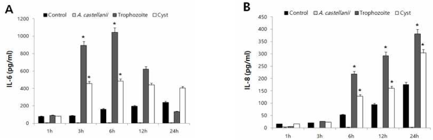 Secretion patterns of IL-6 (A) and IL-8 (B) from HCECs co-cultured with A. castellanii trophozoites (■) or cysts (□). The culture supernatants were collected, and the levels of IL-6 and IL-8 were analyzed by ELISA for 1, 3, 6, 12 and 24 hours