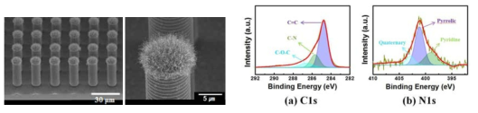Si pillar 어레이 위에 성장된 탄소나노튜브의 SEM 이미지와 XPS 분석 결과