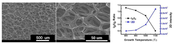 1100 ℃에서 합성된 3차원 다공성 그래핀의 SEM 이미지와 RAMAM 분석 결과