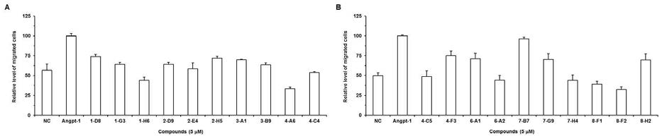 Angiopoietin-1에 의한 림프관 내피세포의 이동에 미치는 림프관신생 억제 후보 물질 20종의 영향을 확인함