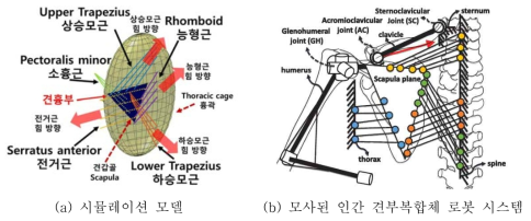 설계된 견부복합체 모사 로봇 시스템