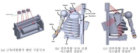 최종 견부 복합체 모사 로봇시스템