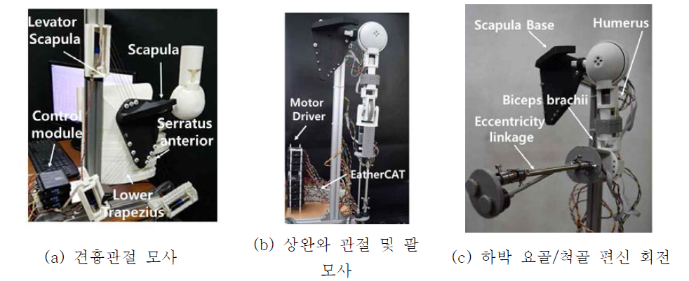 견부복합체 모사 로봇 시스템의 개발