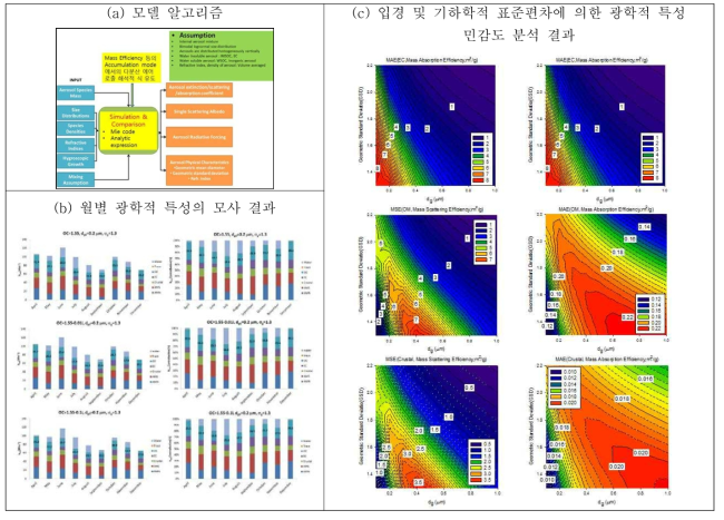 개발된 모델 알고리즘 및 측정 자료에 근거한 광학적 특성모사 및 민감도 분석 결과