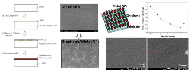 금속나노입자 제작 및 분산, 정렬 기술 결과 및 그래핀/ 금속 나노입자 복합박막