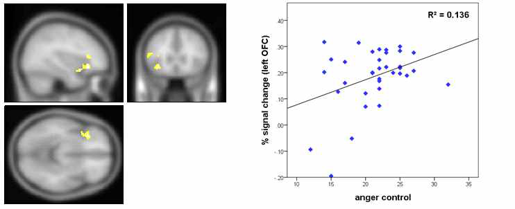 Activity in the left OFC, which was positively associated with individual differences in anger-control