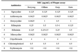 MIC values determined by plaque assay against O. tsutsugamushi Boryong, Gilliam, Karp and Kato