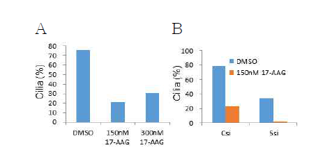 hsp90가 ciliogenesis에 미치는 영향. A. serum starvation 24시간 후 17-AAG를 처리하고 24시간 더 배양한 후 acetylated tubulin과 γ-tubulin을 염색하여 cilia를 분석. B. TTC4 knockdown 후 serum starvation과 17-AAG 처리