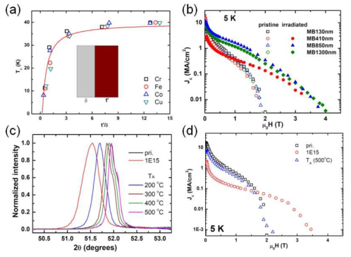 (a) 여러 금속 이온(Cr, Fe, Co, 그리고 Cu) 조사에 따른 MgB2 박막의 임계온도 변화. 여기서, δ는 조사에 의해 영향을 받은 두께를 t’은 조사에 영향을 받지 않은 두께를 나타낸다. (b) 여러 두께의 MgB2 박막에 Co 이온 조사(irradiation)후 5 K에서의 임계전류밀도(Jc)의 자기장의존성. 130 nm의 두께를 가지는 박막(MB130nm) 외 Co 이온 조사후 임계전류밀도의 자기장 의존성이 좋아졌음을 볼 수 있다. (c) 1x1015 개/cm2의 탄소 이온 조사 후 변화된 MgB2 박막의 (0002)픽이 열처리 후 다시 제자리로 돌아오는 것을 볼 수 있다. (d) 또한, 500℃에서 열처리 후 자기장에 따른 임계전류밀도 또한 대부분 초기상태로 돌아옴을 보인다.